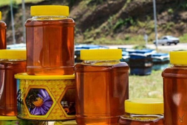 عسل طبیعی فروشگاه امید