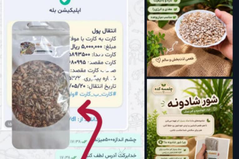 آجیل وخشکبارتنقلات سالم